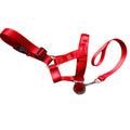 Nylon dog muzzle rushing leash cover in black, blue, and red with size options