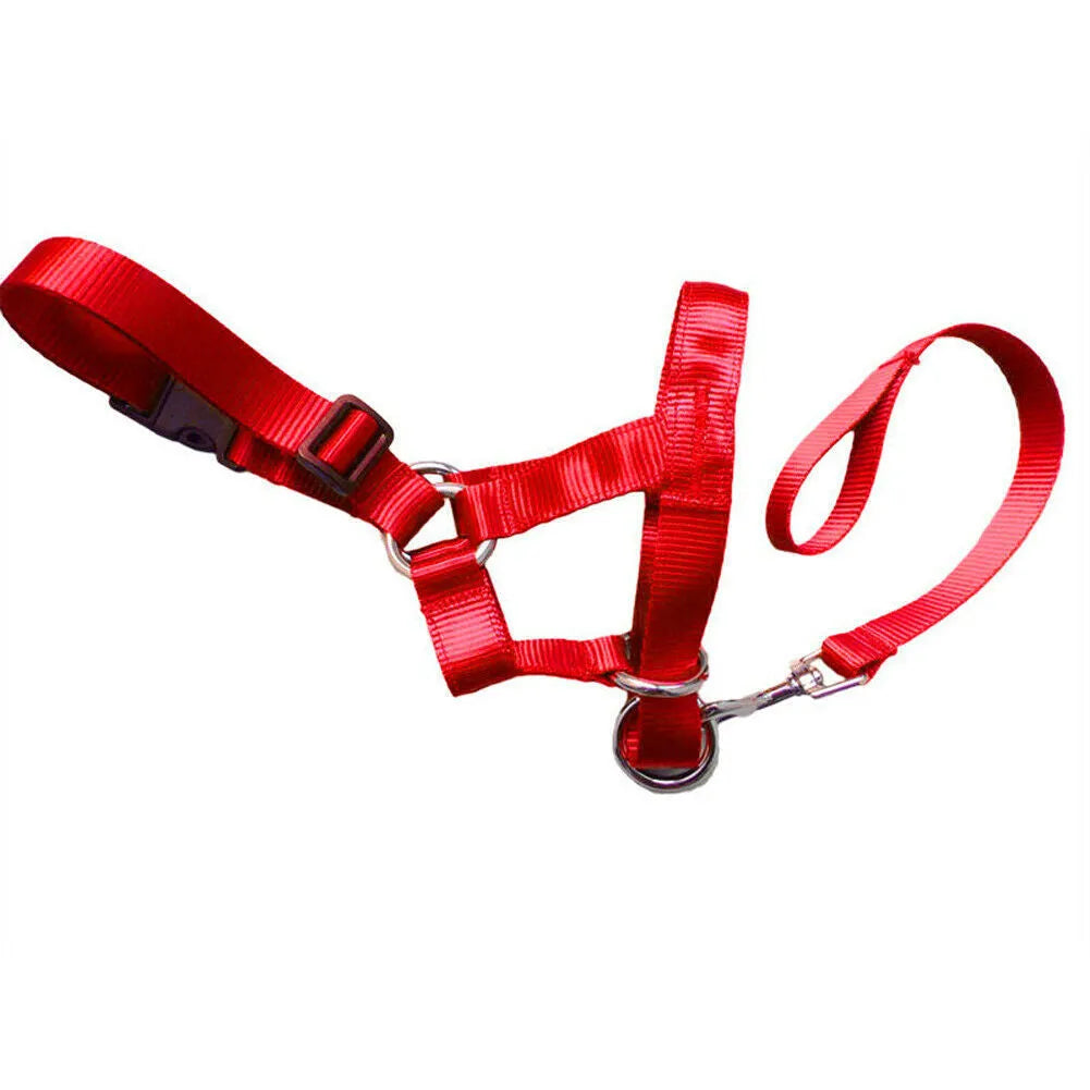 Nylon dog muzzle rushing leash cover in black, blue, and red with size options