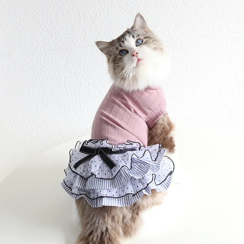 Polka dot lace cake dress pet clothes in taro purple, charcoal black or iced coffee, sizes XS to XL