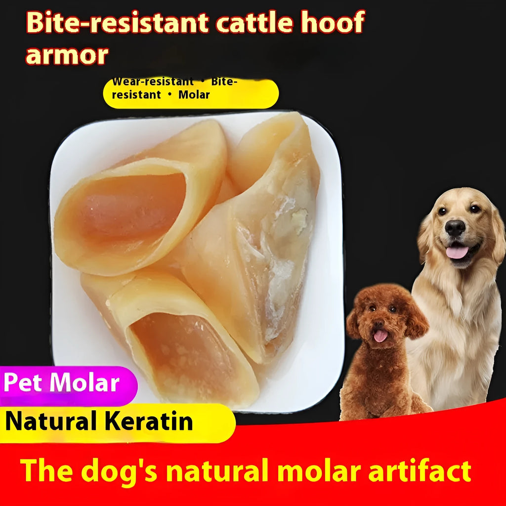 Natural cowhide hoof shell dog chew for small or large breeds on a white background.