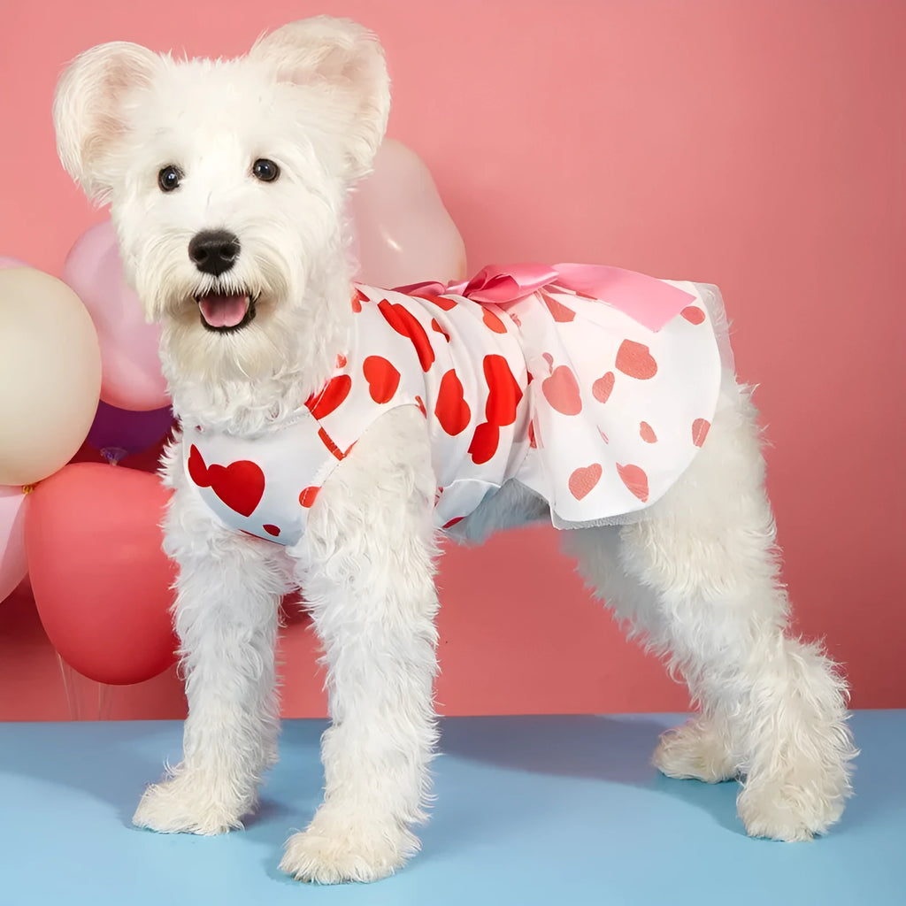Pet dog cat Valentine's Day love full printed dress in polyester, black and white, sizes XS to 2XL