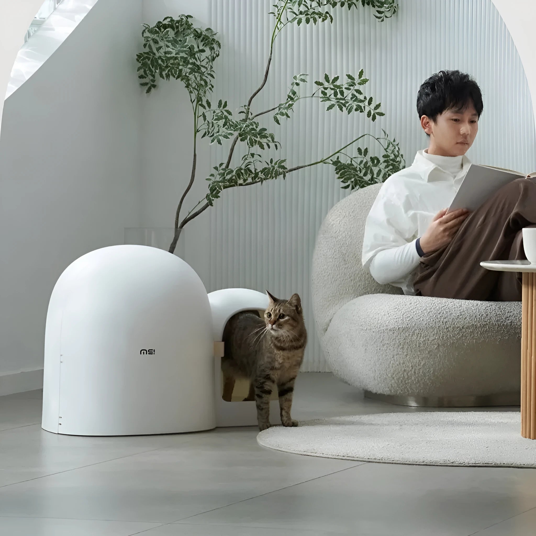 Fully enclosed oversized cat litter box in ABS plastic showing interior space
