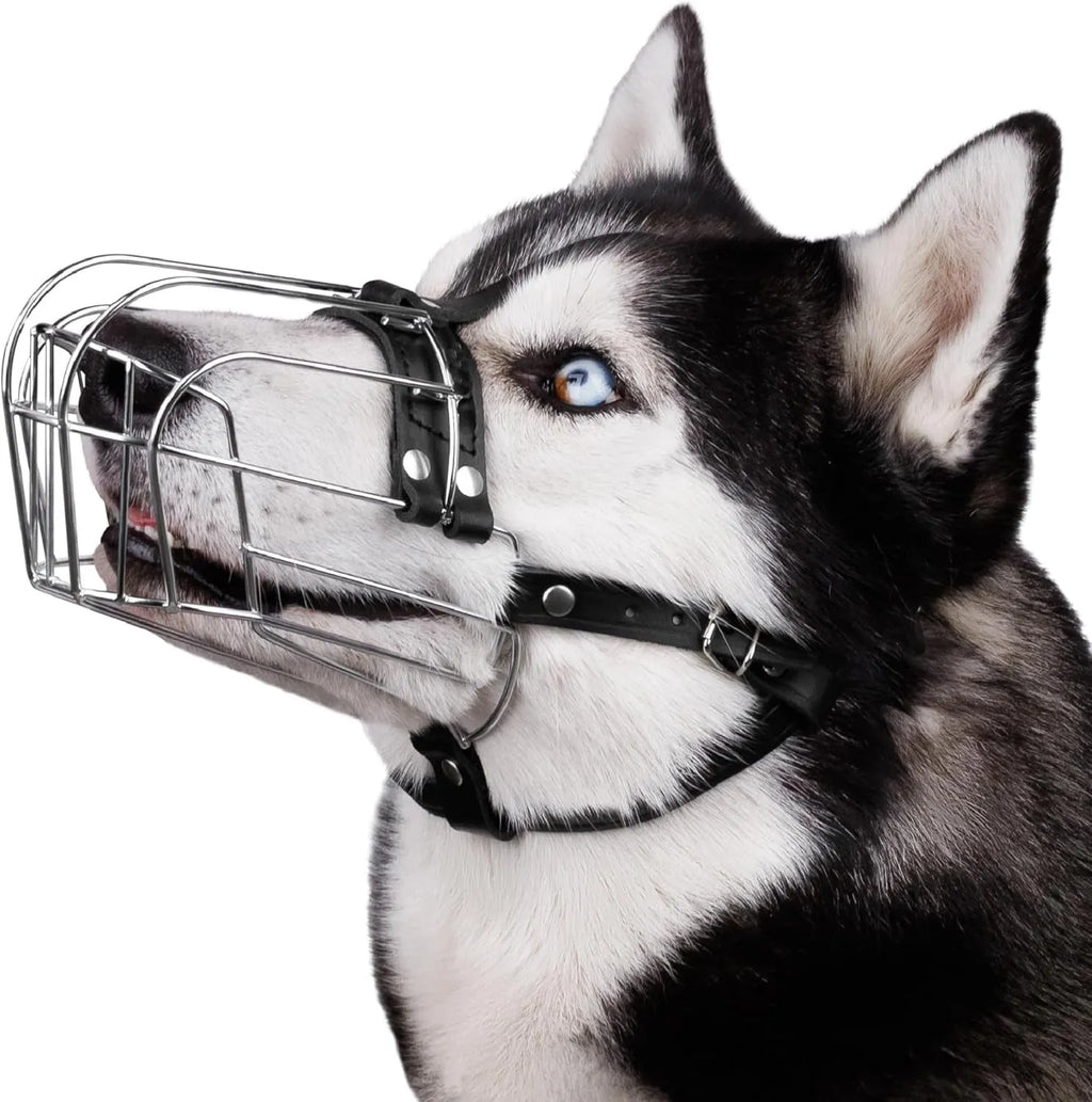 Black metal basket dog muzzle for large breeds, shown on a table with adjustable strap and buckle.