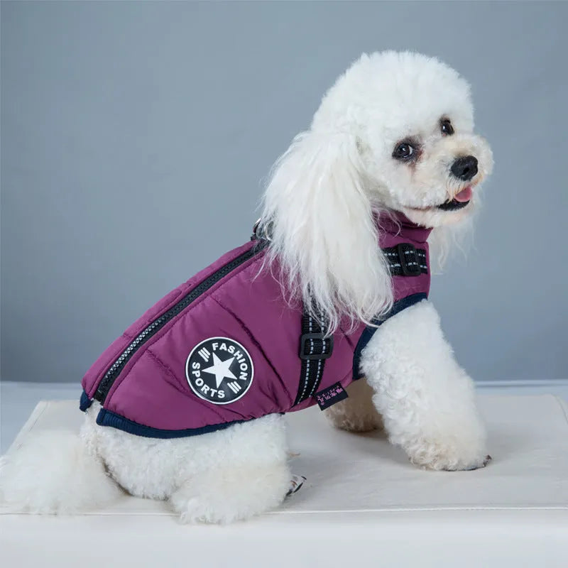 A red waterproof dog coat with an integrated harness on a Labrador retriever.