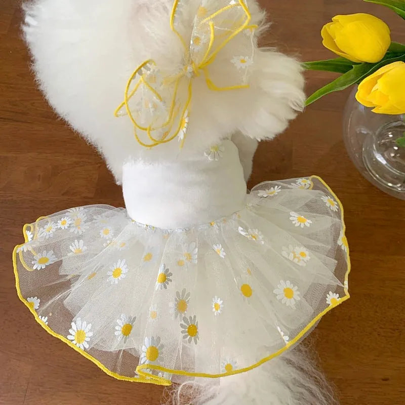 Yellow daisy pattern dog clothes on pet model showing thin polyester summer construction