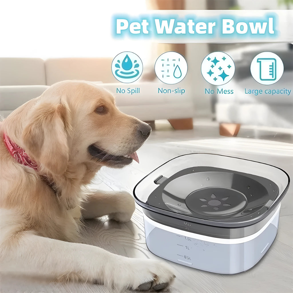 Transparent 2 litre dog water bowl with floating disk and visible water level