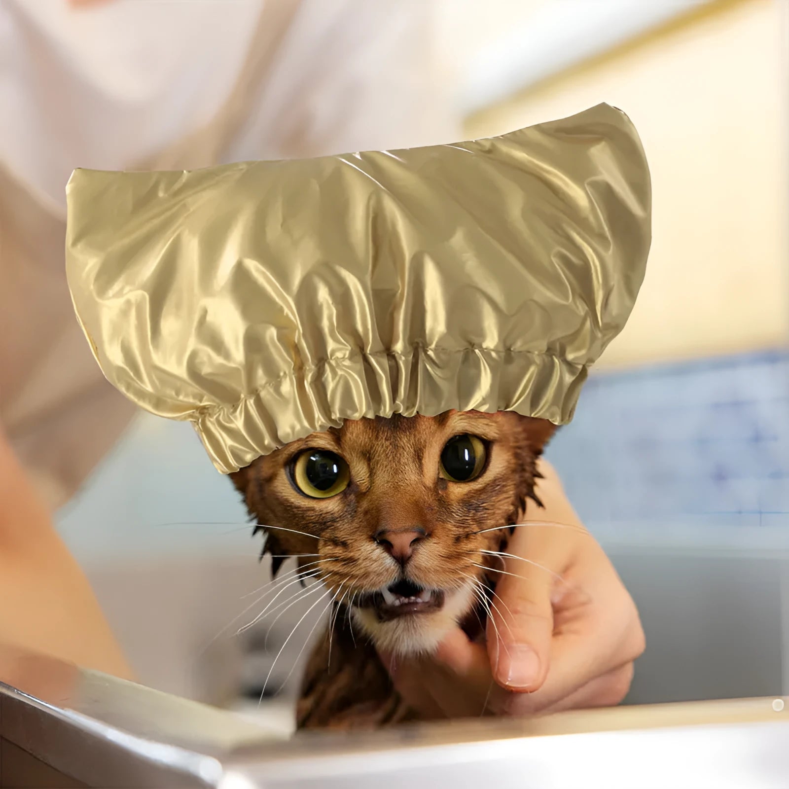 Adjustable ear-proof pet shower cap in silver colour showing non-woven fabric construction