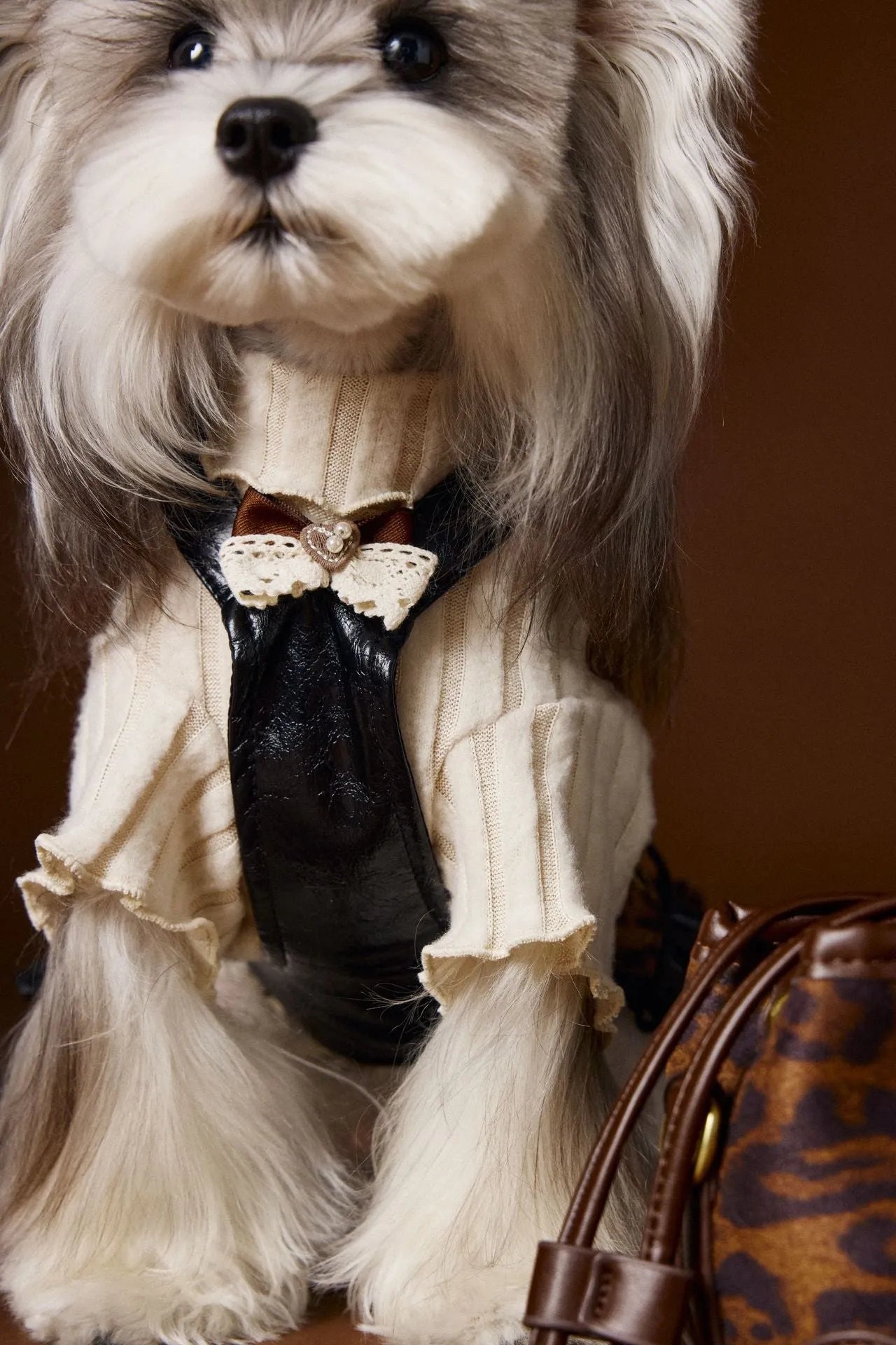 Small dog wearing a casual lace bow bottoming shirt in beige colour, side view