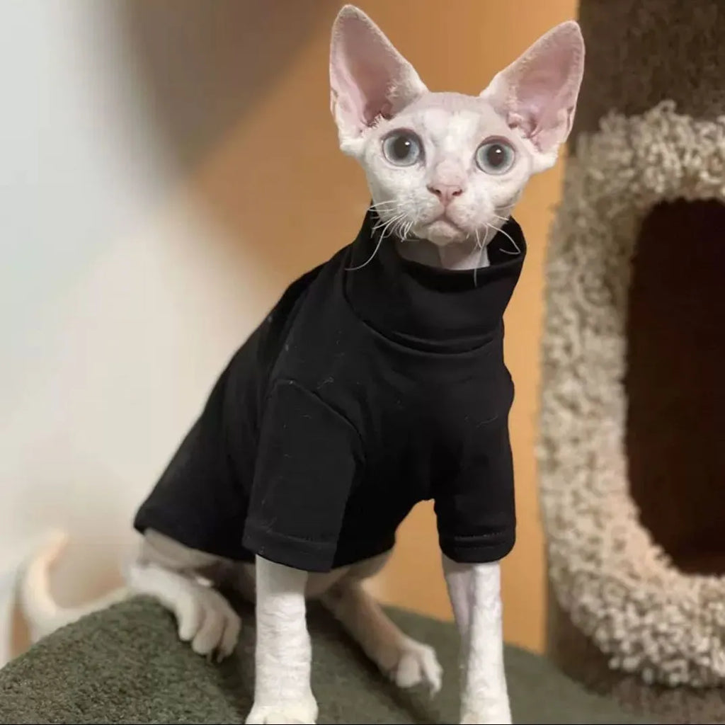 Self-heating hairless cat hoodie in Dralon polyester, black or green, sizes XS to 3XL, autumn winter base layer