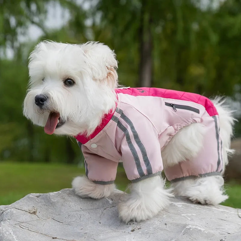 Autumn winter dog down jacket with fleece lining for small medium dogs in red and yellow colour options