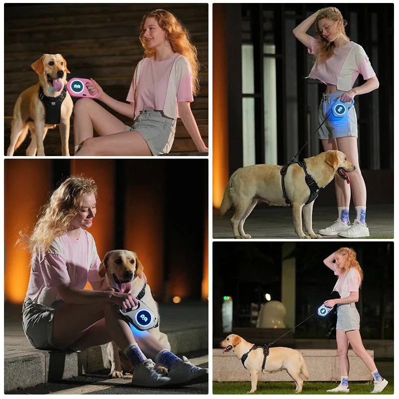 New LED light retractable dog leash with USB rechargeable light in black and white on outdoor background