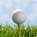 White Game Sarin Double Deck Next Game golf ball with 392 dimples on green background