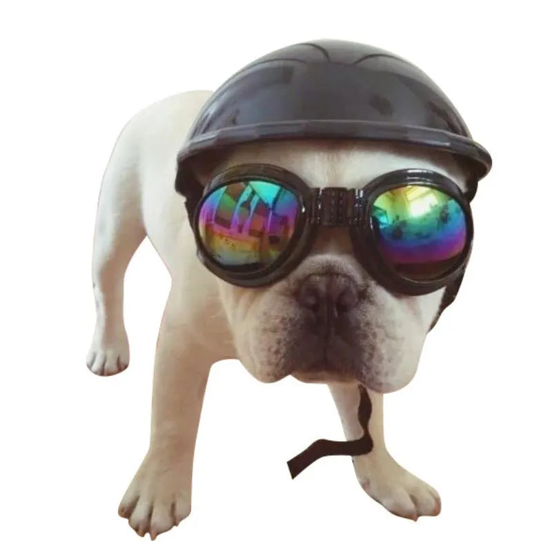 Plastic dog motorcycle helmet cap in pink colour showing Japanese Korean style design with size measurement