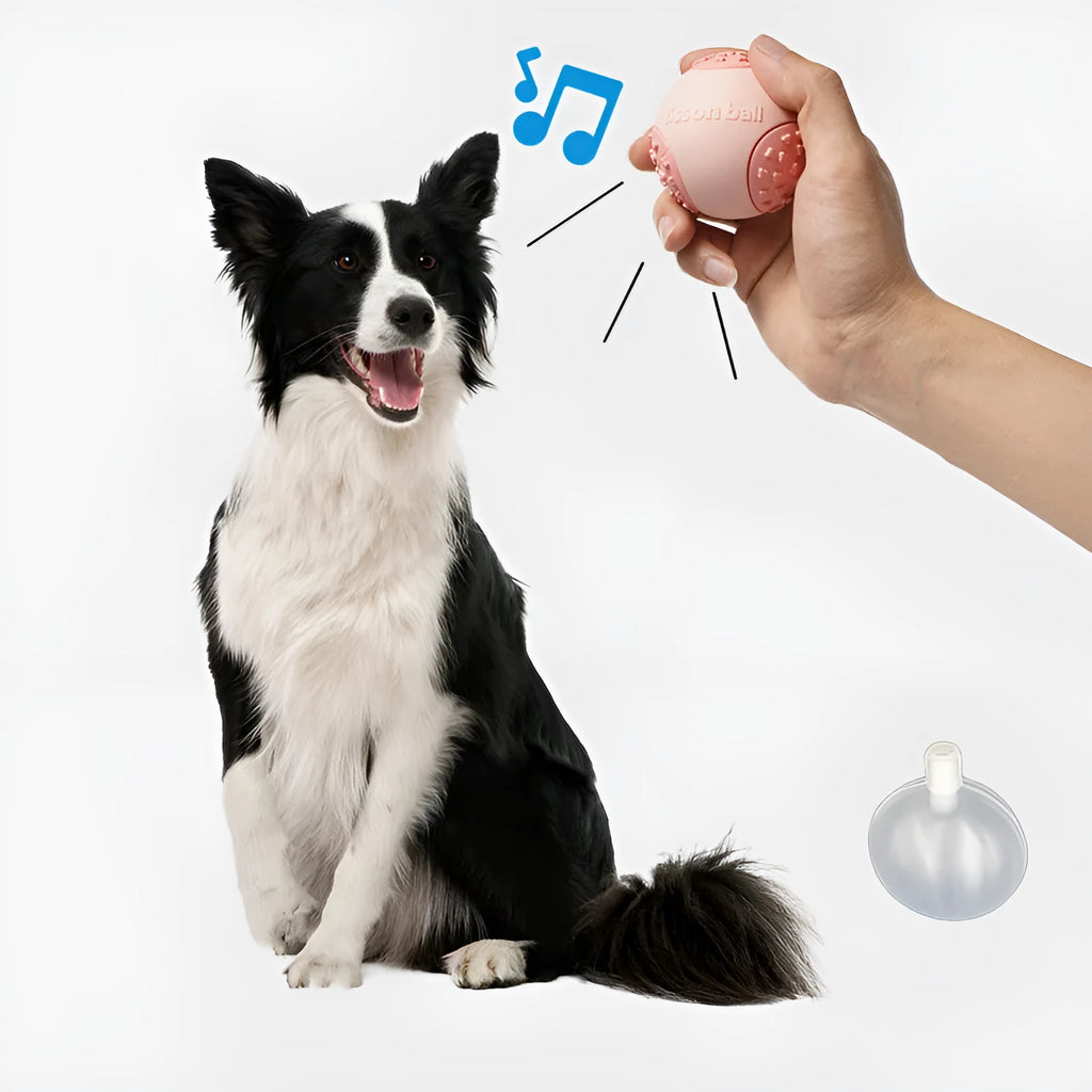 Green or pink interactive rolling ball dog toy with a durable hard plastic shell.