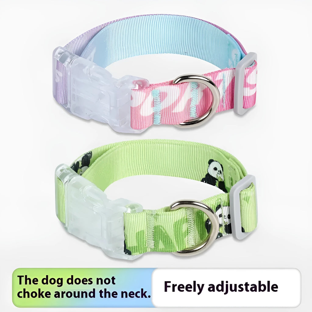 Adjustable nylon dog collar with blue to green gradient cartoon print and plastic buckle on a white background.