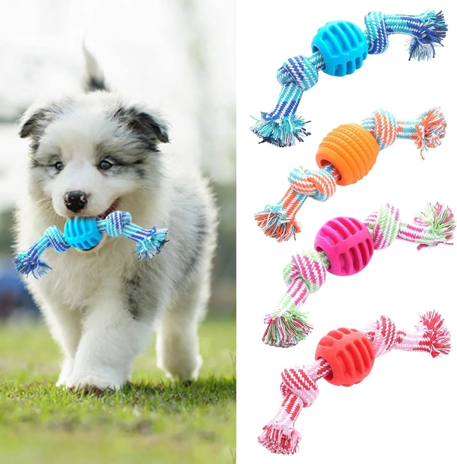 Blue molar-shaped nylon dog chew toy with green rope arms on a white background