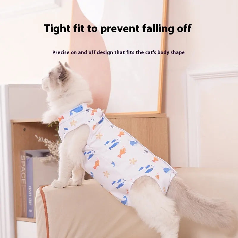 Cat wearing a soft polyester recovery suit after sterilisation surgery, showing hook-and-loop closure.