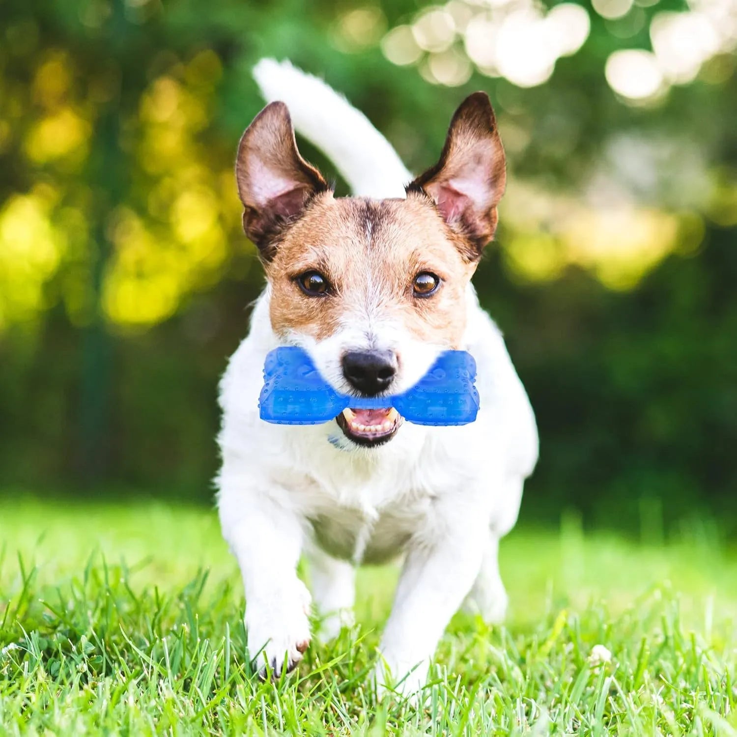 A non-toxic freezable dog chew toy for teething puppies and dogs, shown with a thickened outer design.