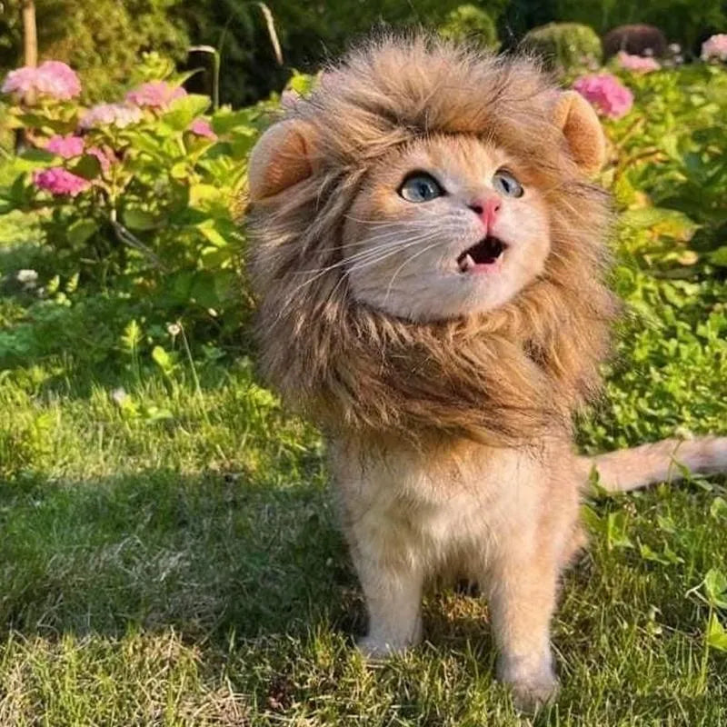Lion mane wig for cats and small dogs with fluffy artificial hair and adjustable elastic band