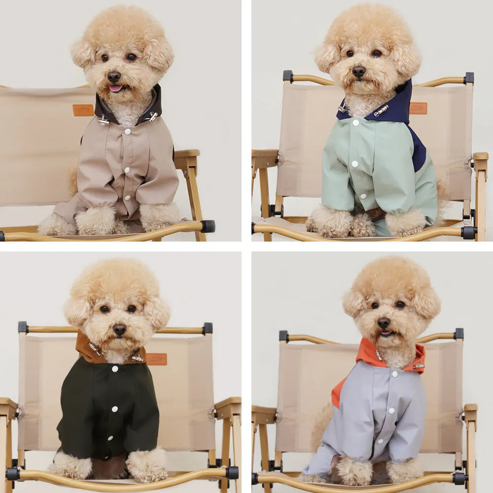 A small dog wearing a khaki-colour British-style waterproof shell jacket with an adjustable belly strap.