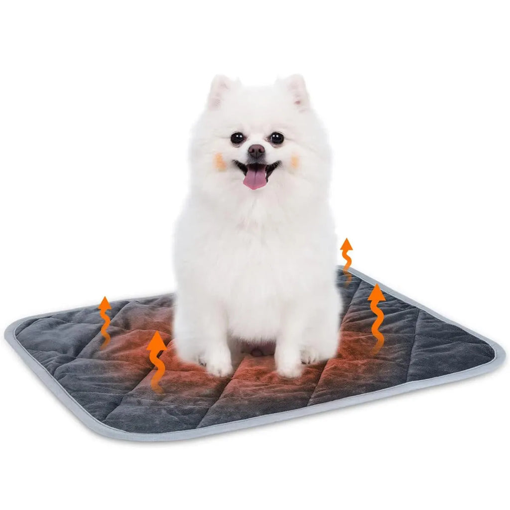Grey cloth pet cushion showing multi-layer construction and four available size options