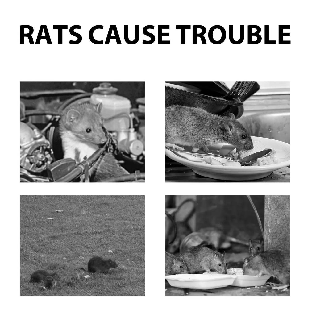 60ml bottle of natural essential oil rat repellent spray for home and outdoor use