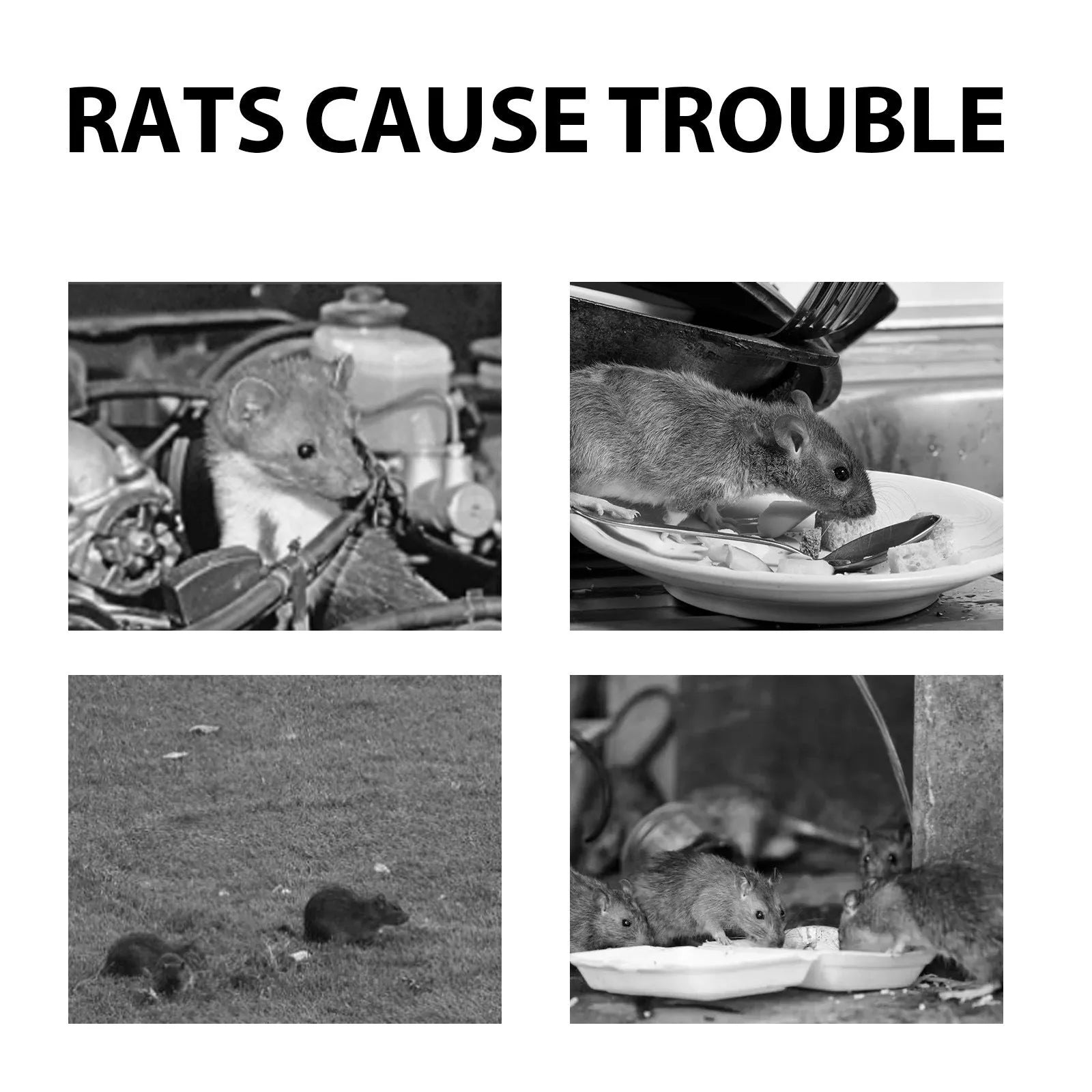 60ml bottle of natural essential oil rat repellent spray for home and outdoor use