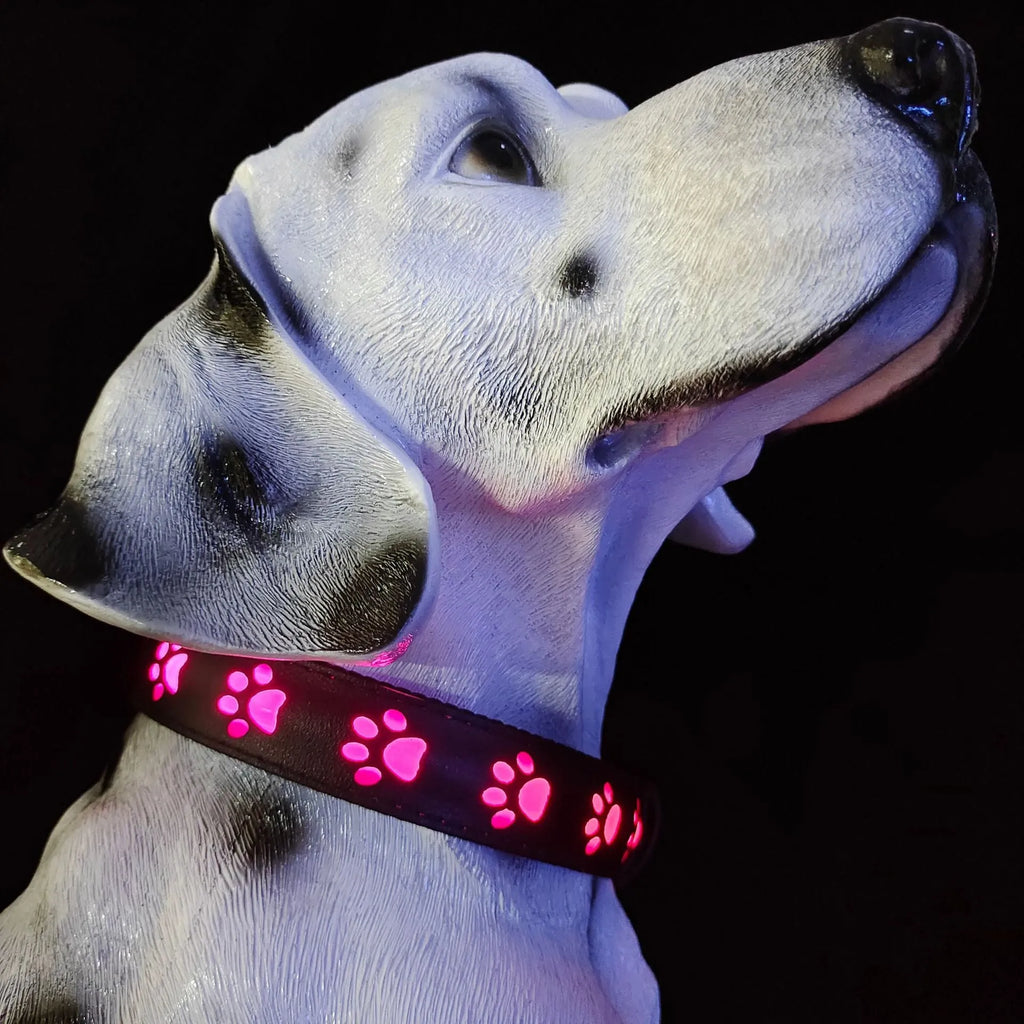 LED luminous dog collar with paw print pattern showing seven colour lights, adjustable strap.
