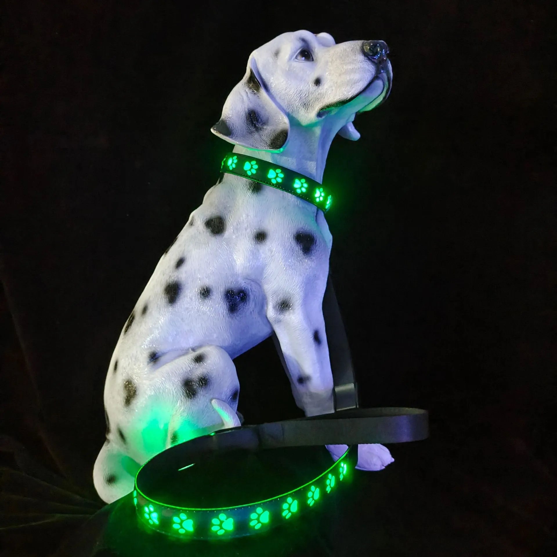 LED luminous dog collar with paw print pattern showing seven colour lights, adjustable strap.