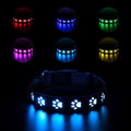 LED luminous dog collar with colourful paw print design, showing USB charging port and adjustable strap.