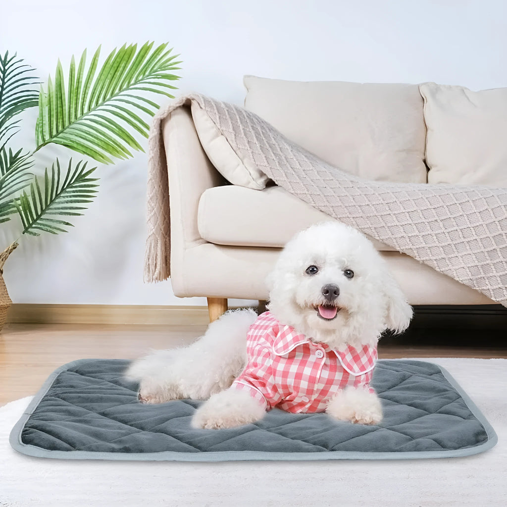 Grey cloth pet cushion showing multi-layer construction and four available size options