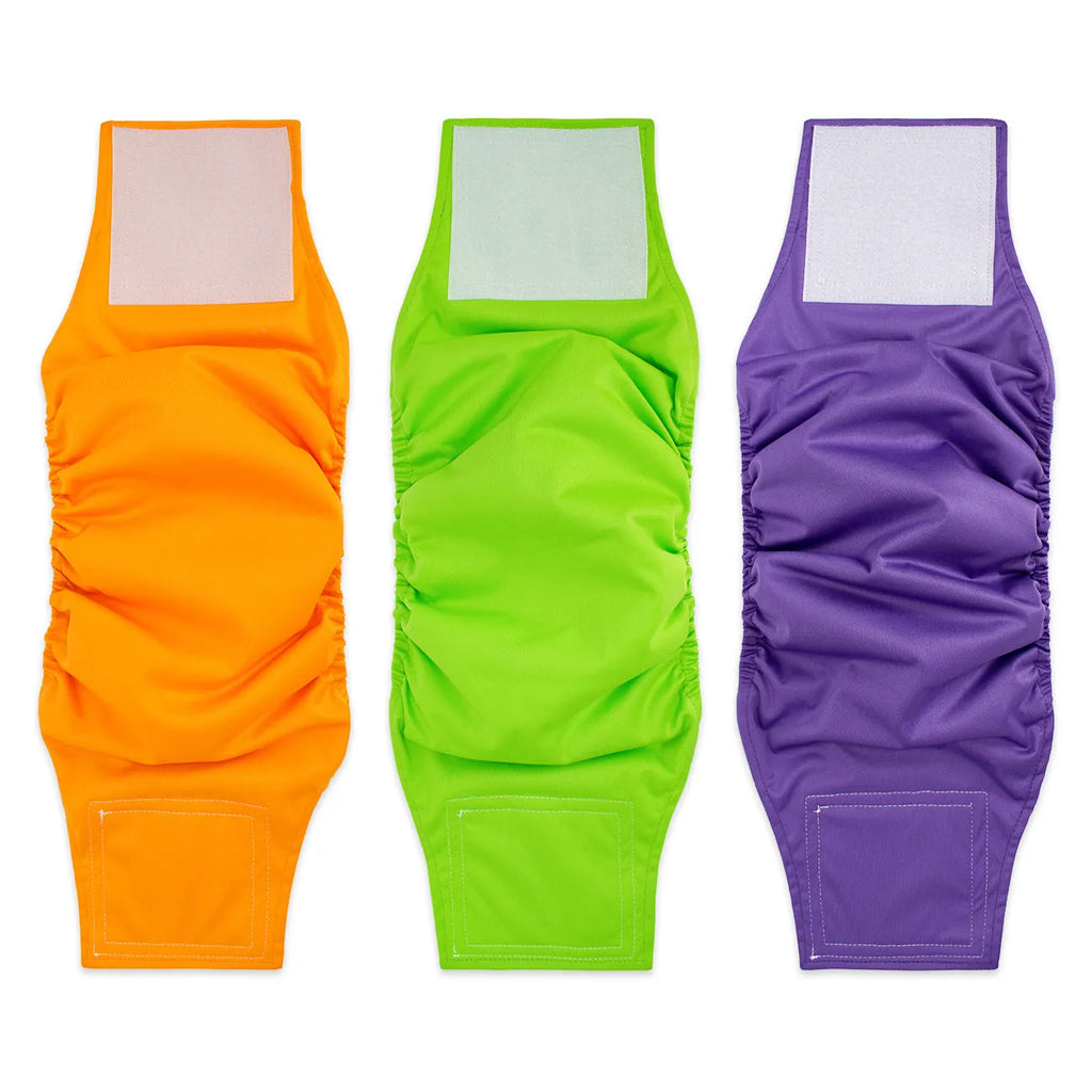Male dog diaper in polyester British style, available in multiple colours and sizes S to XL, for sterilisation recovery and incontinence