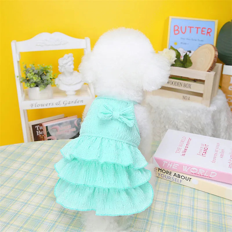 Small white dog wearing a rose red layered skirt princess dress.