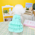 Small white dog wearing a rose red layered skirt princess dress.