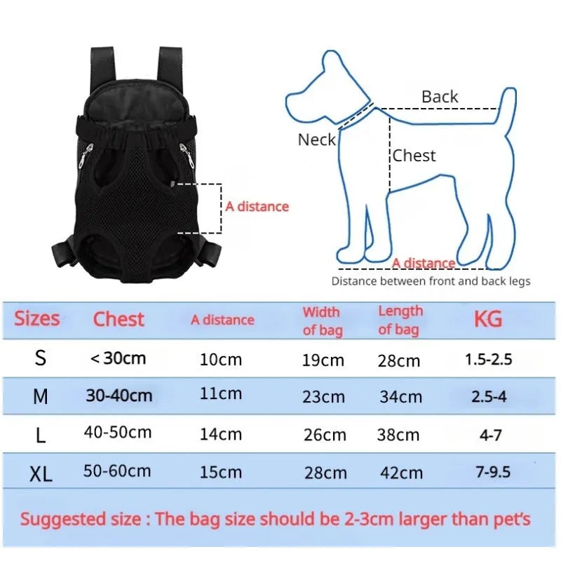 A person wearing an adjustable black nylon dog carrier backpack on their front, containing a small dog looking out.