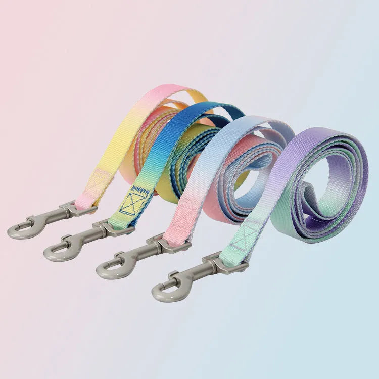 Gradient colour nylon dog leash and matching adjustable collar set for small medium dogs.