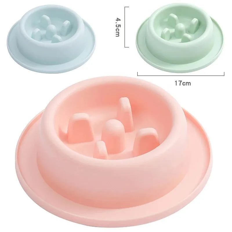 Pet slow eating feeder bowl in blue PP plastic with raised internal sections and non-slip base