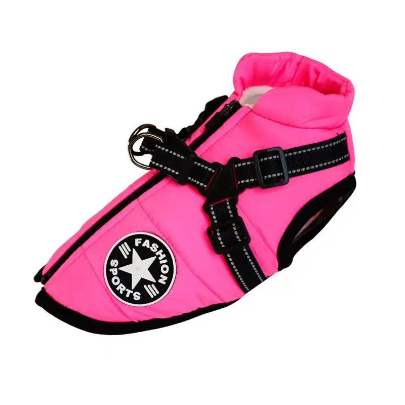 A red waterproof dog coat with an integrated harness on a Labrador retriever.