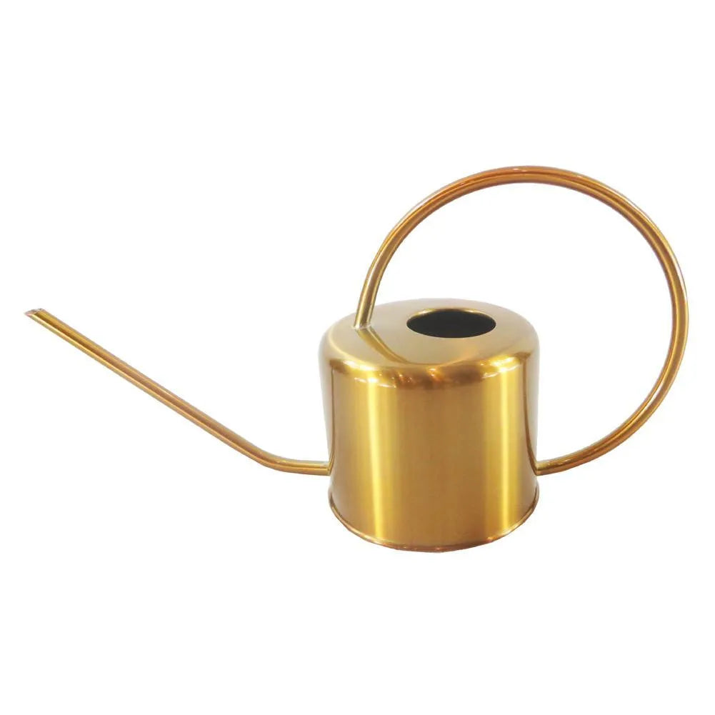 Stainless steel watering can with long spout, shown in 2-litre capacity for garden use.