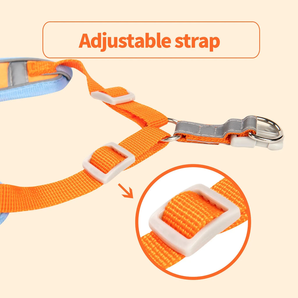Adjustable dog harness with haulage rope in purple, blue, orange, red, brown, or green.