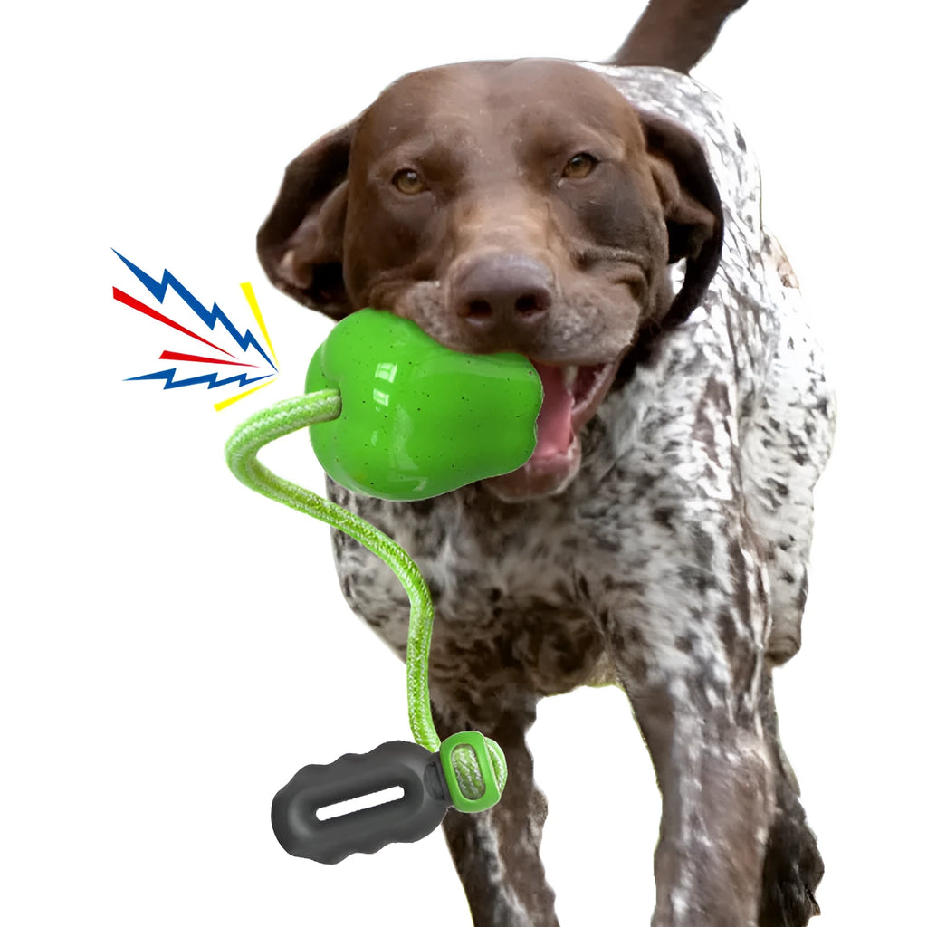 Green and red plastic squeaky apple dog toys with dropping ball design for dental care and interactive play