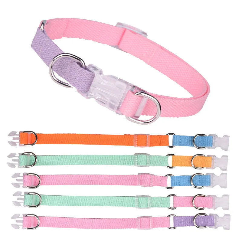 Polyester ribbon dog collar and leash set in coordinating colours with adjustable sizing