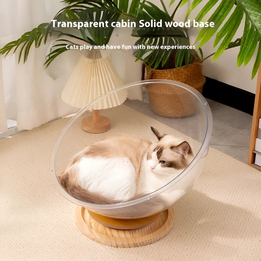 Transparent acrylic cat space capsule bathtub bed with wood board base