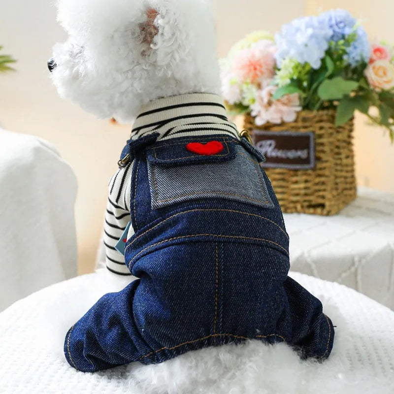 Dog wearing CWQ retro denim four-legged suspender pants in princess style, standing outdoors.