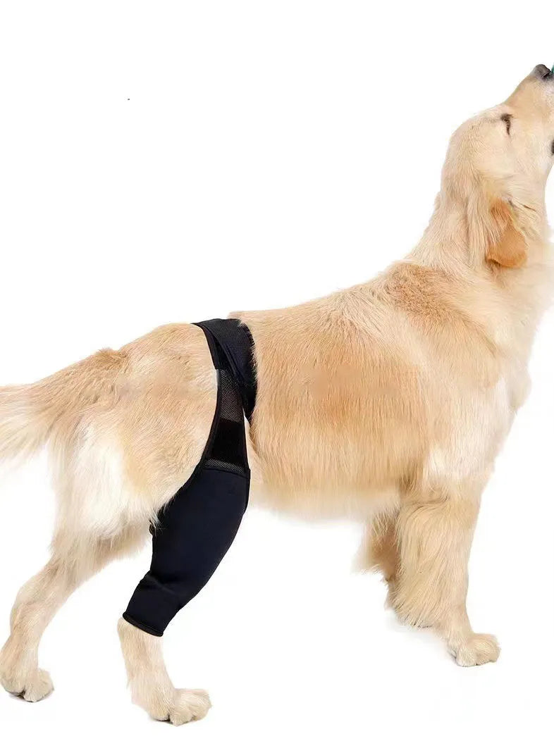 Dog leg support protector made of diving cloth and mesh with adjustable Velcro strap, shown on a dog's leg.