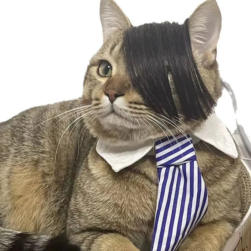 Black polyester imitation braid wig designed for a cat to wear