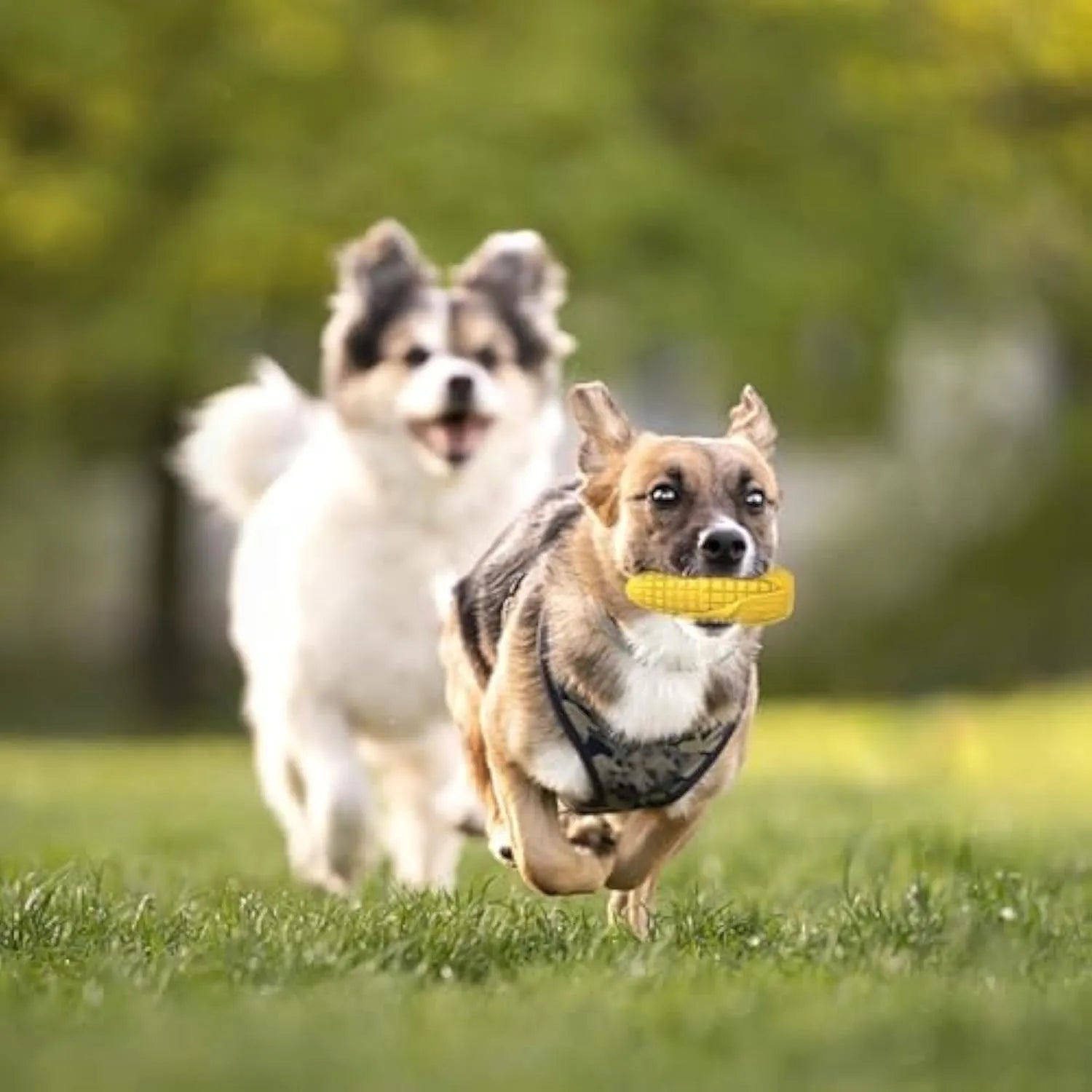 Yellow corn stick dog chew toy with textured surface for teeth cleaning