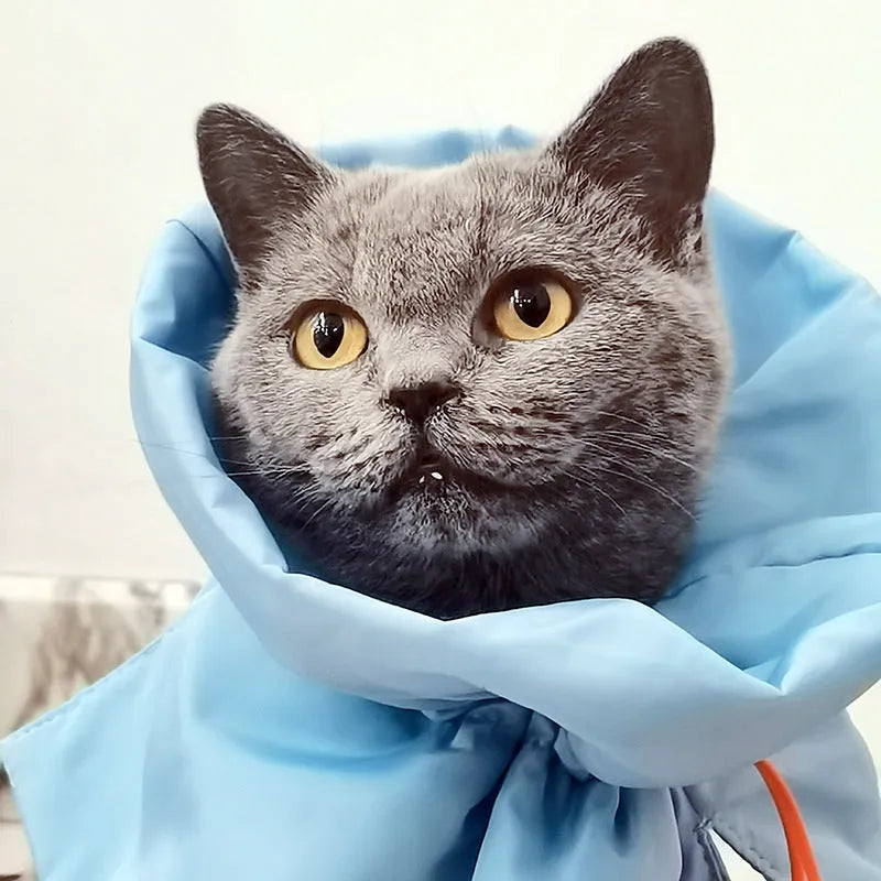 Soft blue adjustable Elizabethan recovery collar for cat on a white background