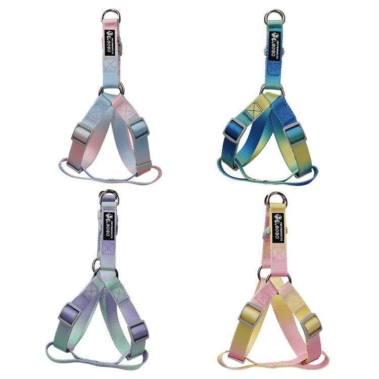 Gradient colour nylon dog leash and matching adjustable collar set for small medium dogs.