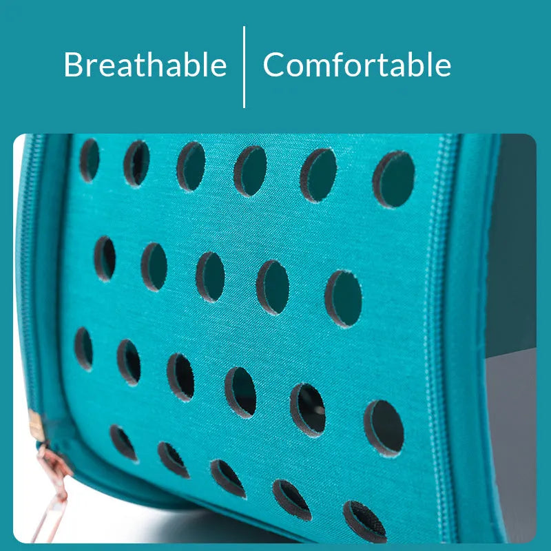 Double Fish transparent PVC pet backpack carrier for small dogs and cats with locking mechanism and ventilation holes, sky blue colour